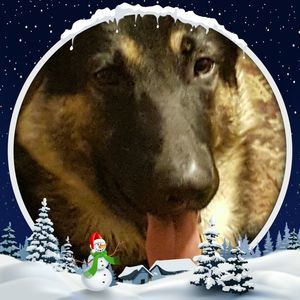 Meet your Posher, Marianne